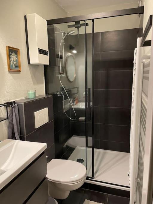 #1 Studioapartment Mit Loreleyblick Direkt An Der Schoensten Etappe Des Rheinsteigs Patersberg Exteriör bild